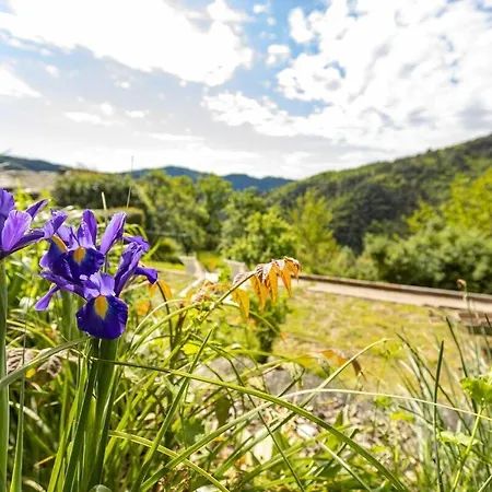 Les Hotes Du Chataignier 3* Penens