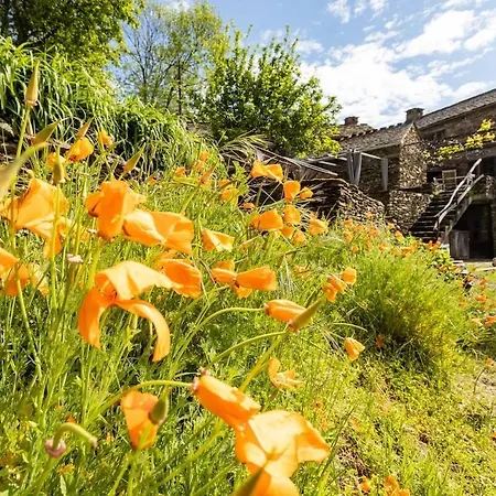 Les Hotes Du Chataignier Bed & Breakfast