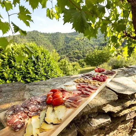 Bed & Breakfast Les Hotes Du Chataignier Penens