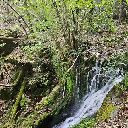 Les Hotes Du Chataignier Bed & Breakfast Penens