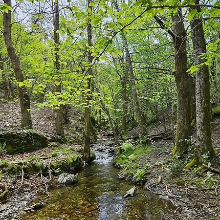 Les Hotes Du Chataignier Bed & Breakfast