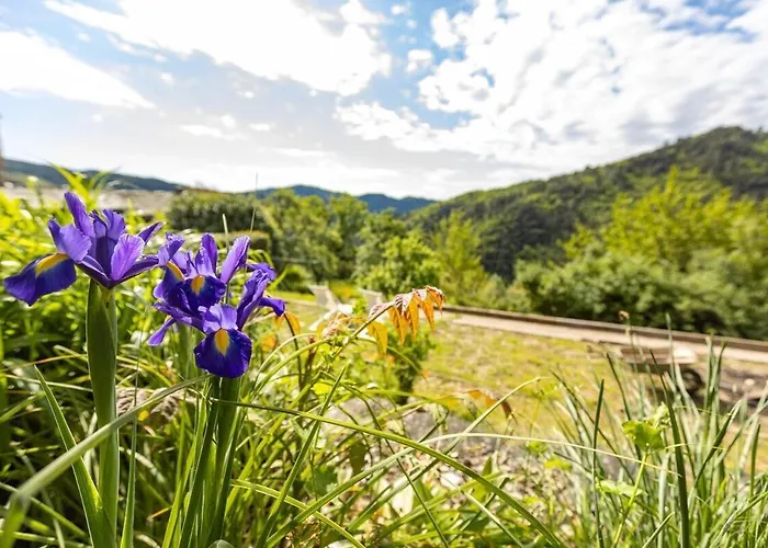Les Hotes Du Chataignier 3* Penens