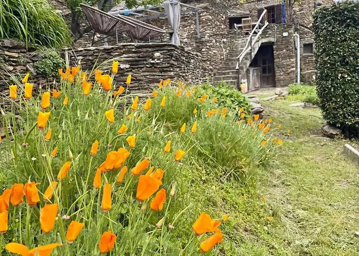 Les Hotes Du Chataignier