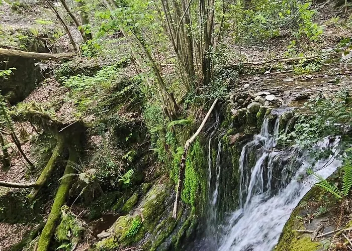 Les Hotes Du Chataignier Nocleg ze śniadaniem Penens
