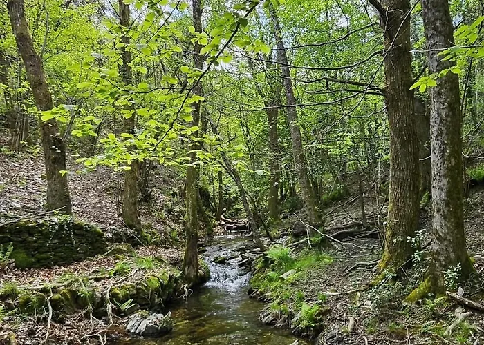 Les Hotes Du Chataignier Nocleg ze śniadaniem